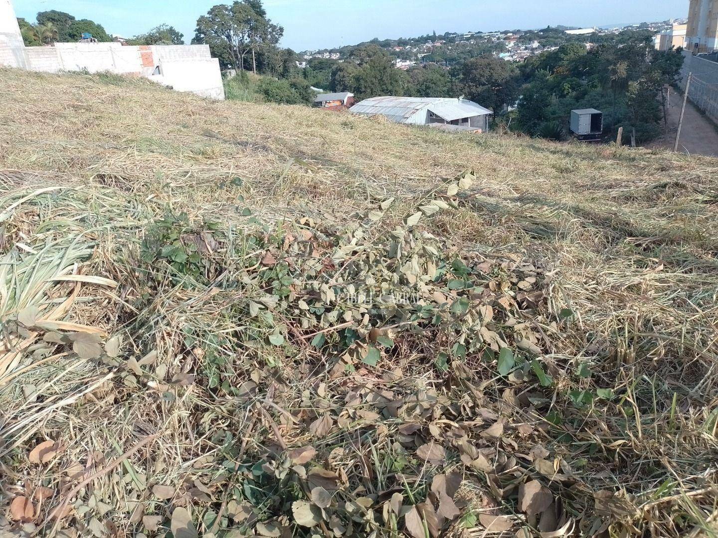 Terreno à venda, 500M2 - Foto 3