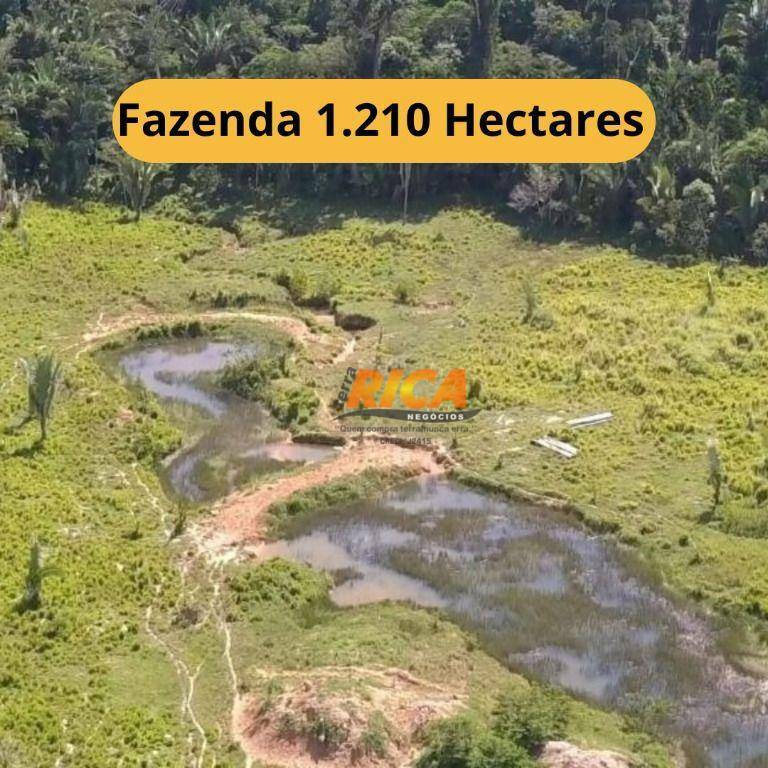 Fazenda-Sítio-Chácara, 1210 hectares - Foto 1