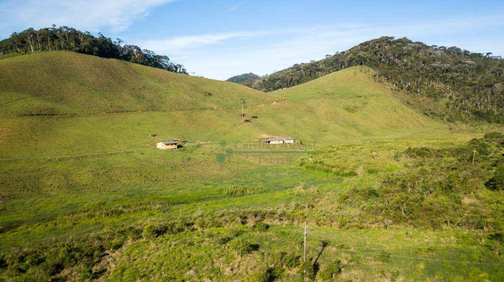 Fazenda à venda com 3 quartos, 120m² - Foto 36