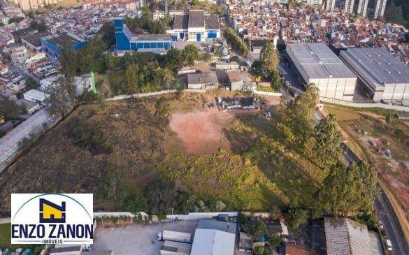 Terreno, 3 hectares - Foto 3