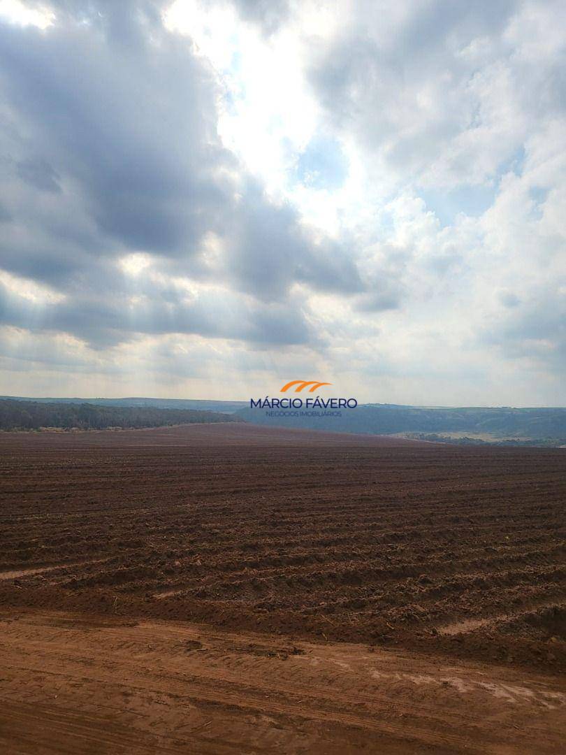 Fazenda, 121 hectares - Foto 4