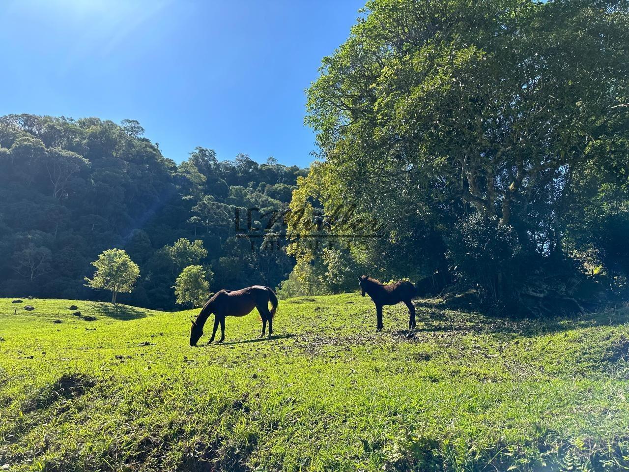 Fazenda, 49 m² - Foto 2