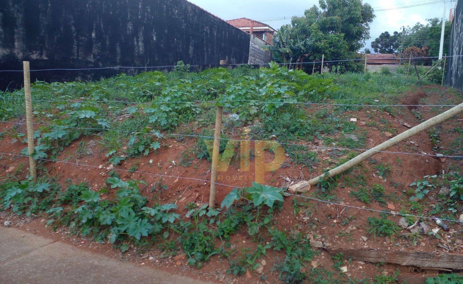 Terreno à venda, 240M2 - Foto 1