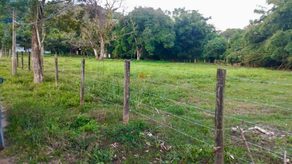 Fazenda à venda com 2 quartos, 90000m² - Foto 3