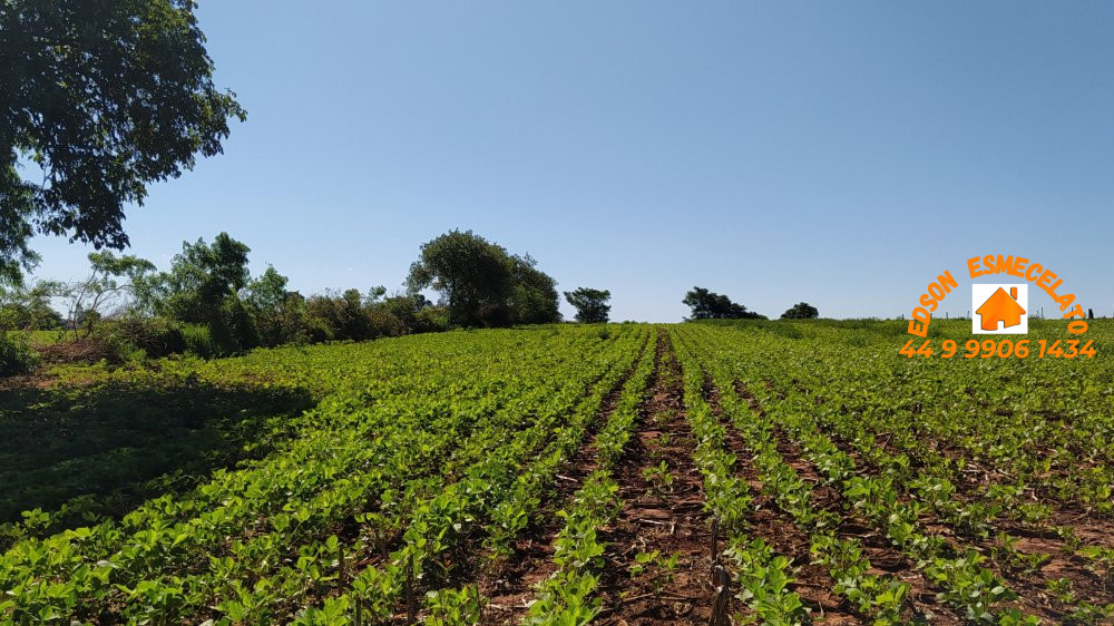 Fazenda-Sítio-Chácara, 2 hectares - Foto 2