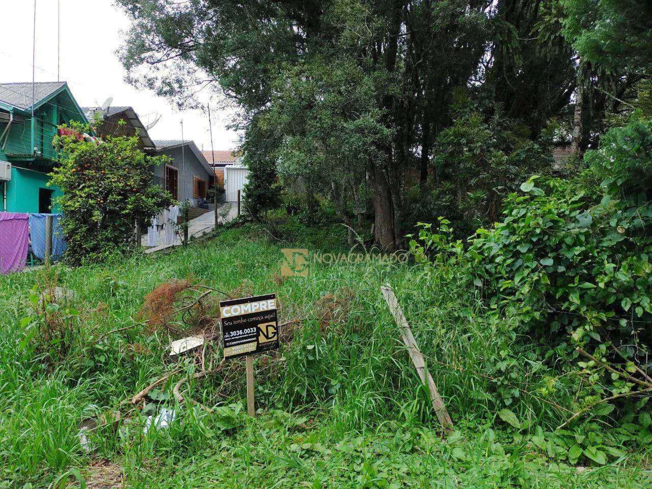 Terreno à venda, 590M2 - Foto 7