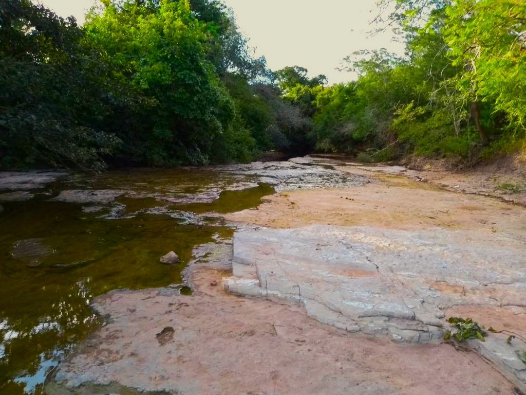 Fazenda-Sítio-Chácara, 2037 hectares - Foto 3