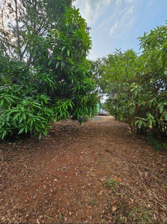 Chácara à venda com 2 quartos, 200m² - Foto 31