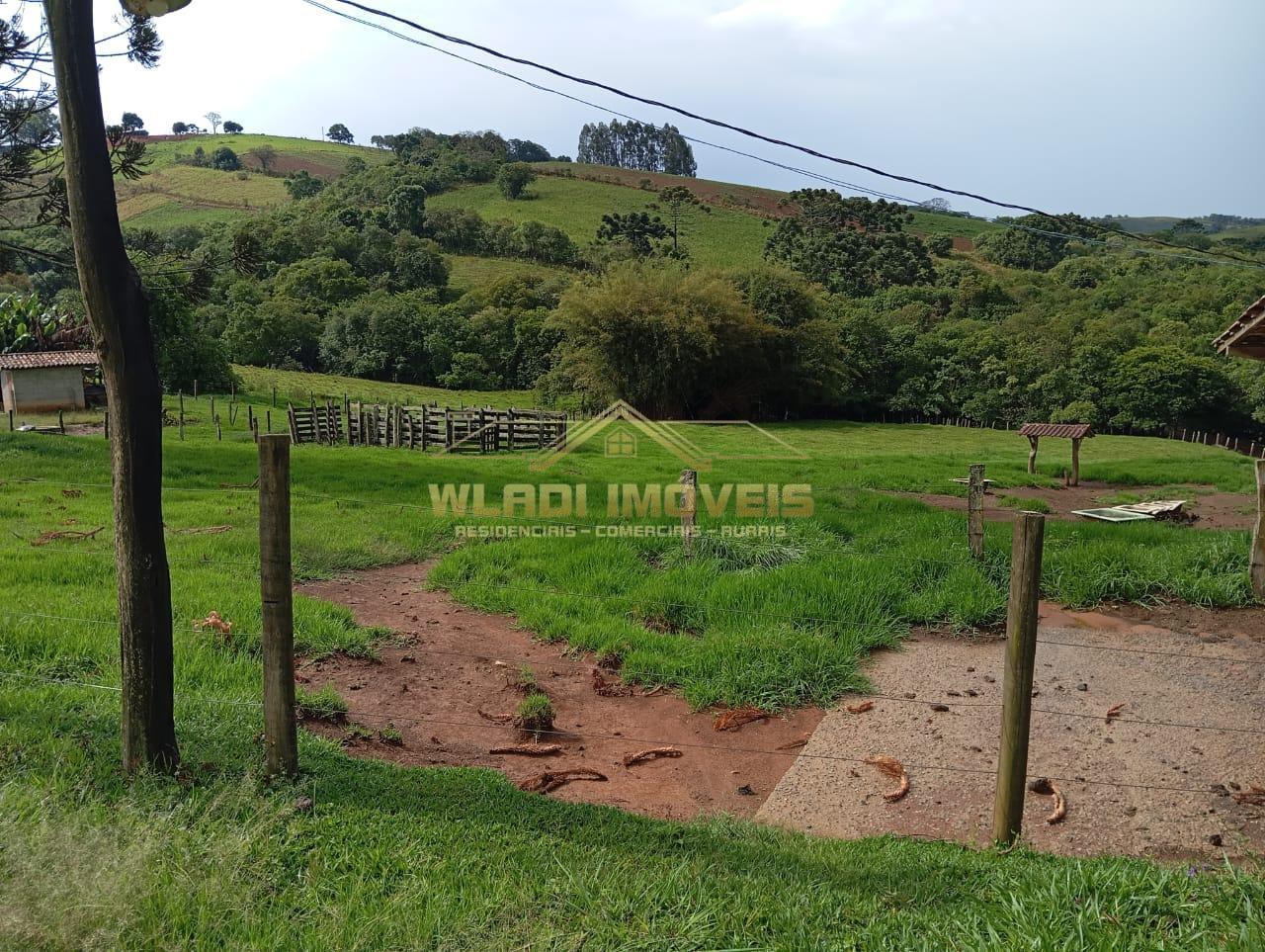 Fazenda à venda, 7m² - Foto 30