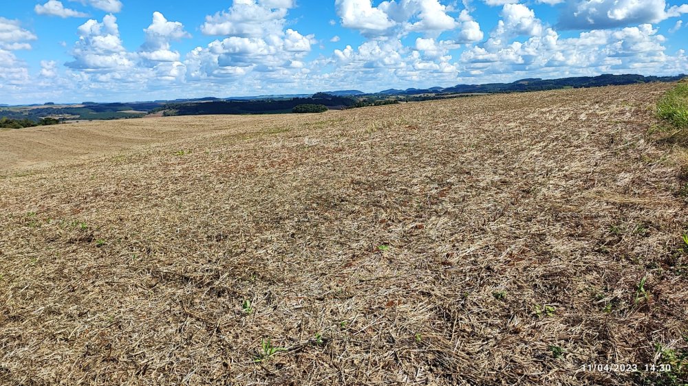 Fazenda à venda, 9m² - Foto 6