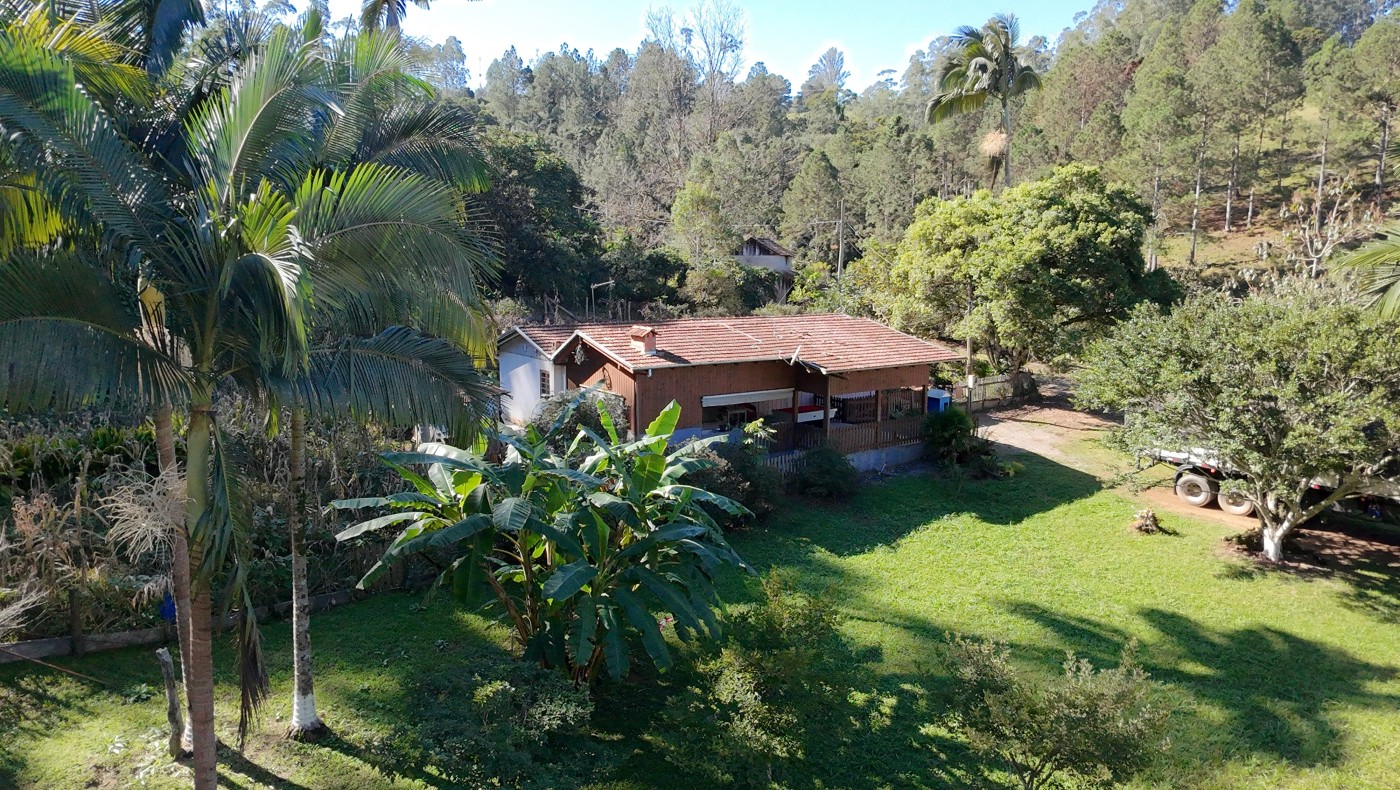 Sítio à venda com 3 quartos, 40000m² - Foto 36