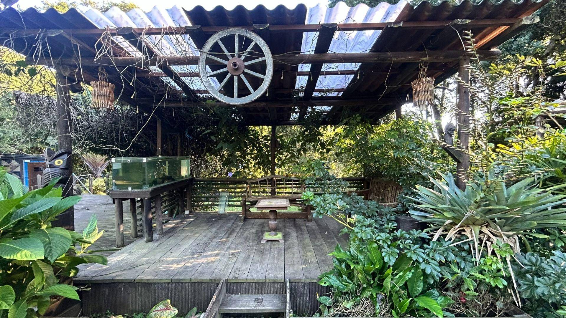 Sítio, 14 hectares - Foto 96