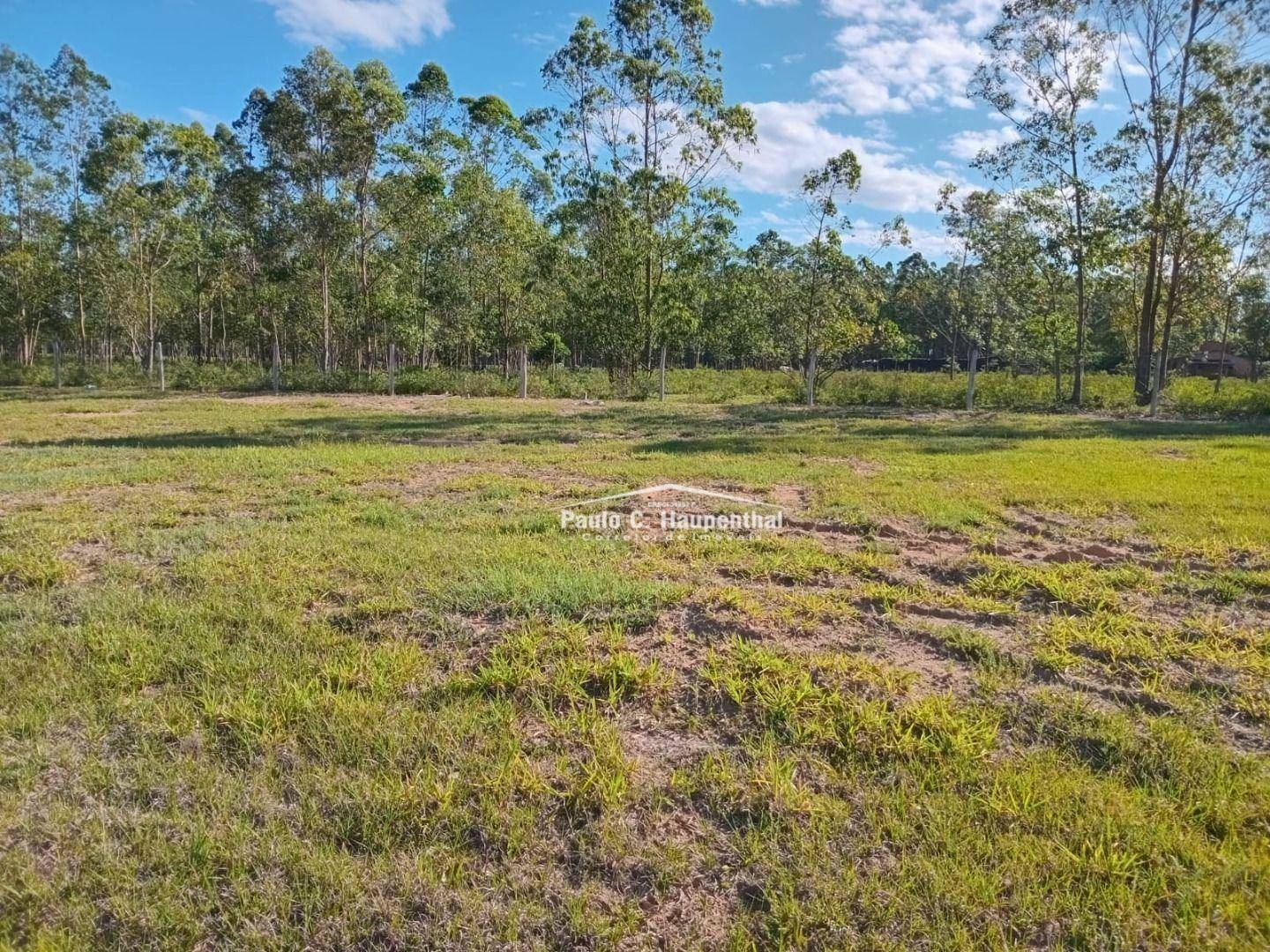 Terreno à venda, 300M2 - Foto 4