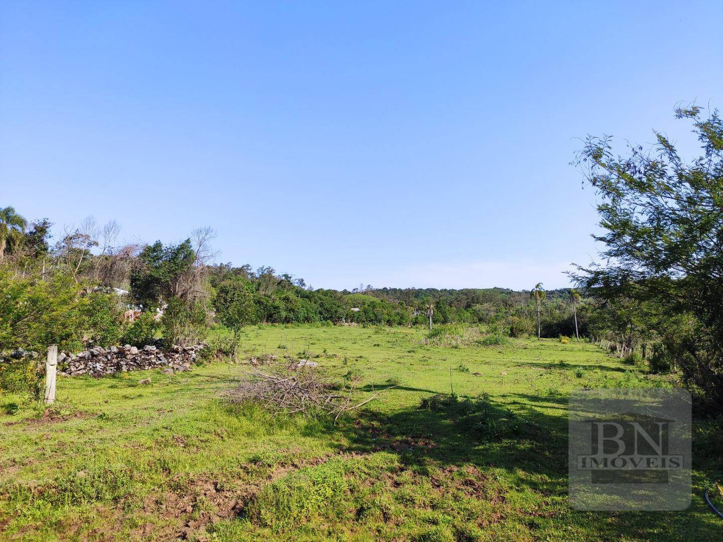 Terreno, 13 hectares - Foto 3