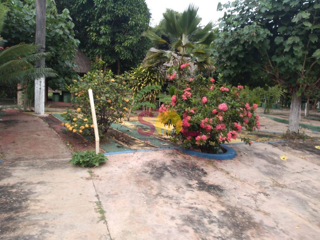 Sítio, 20 hectares - Foto 11