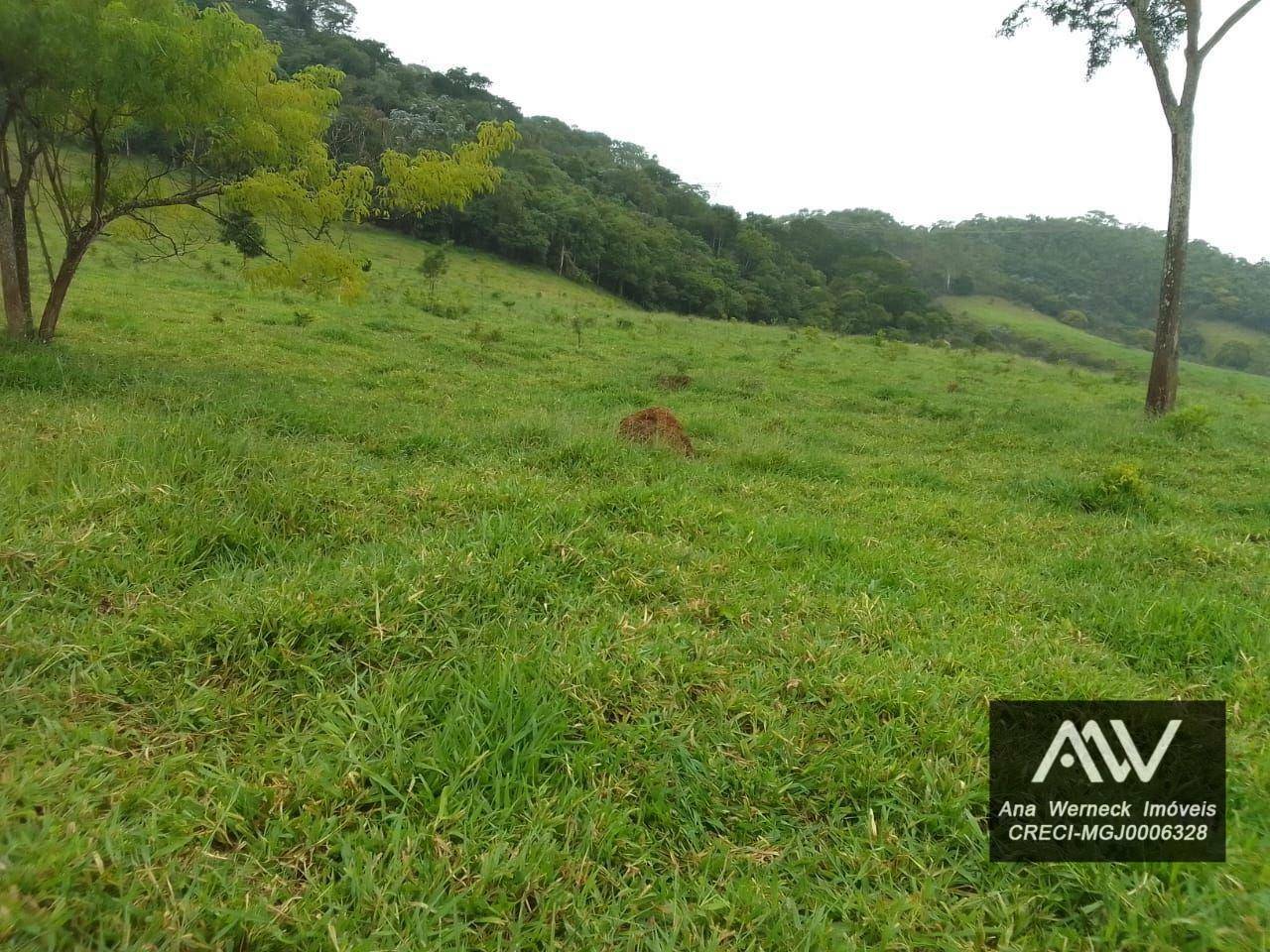 Chácara à venda com 1 quarto, 150000M2 - Foto 14