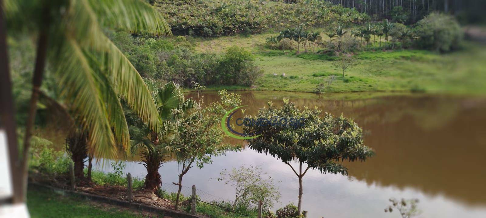 Fazenda à venda com 3 quartos, 1452000M2 - Foto 13