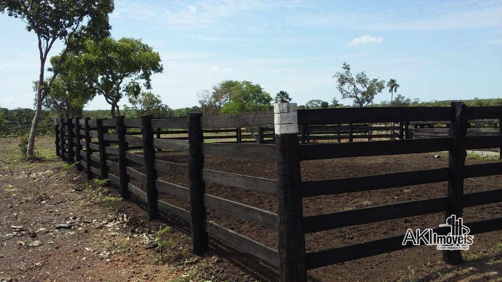 Fazenda à venda com 2 quartos, 4500000M2 - Foto 8