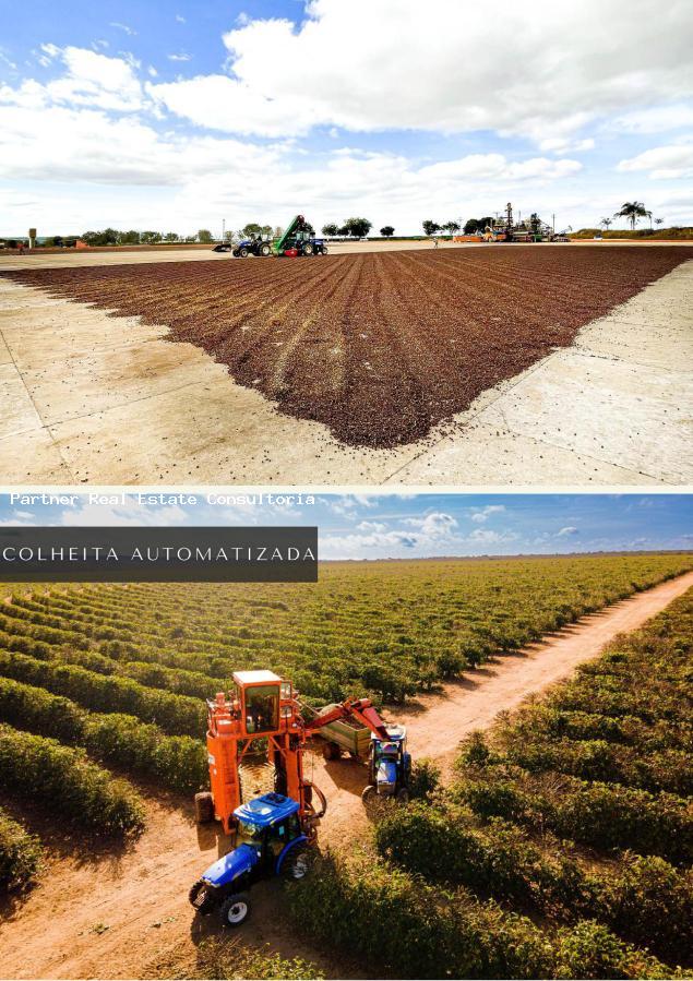 Fazenda à venda com 10 quartos, 1216m² - Foto 21