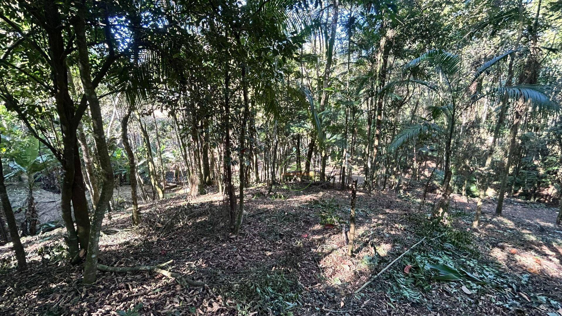 Terreno, 10000 m² - Foto 11