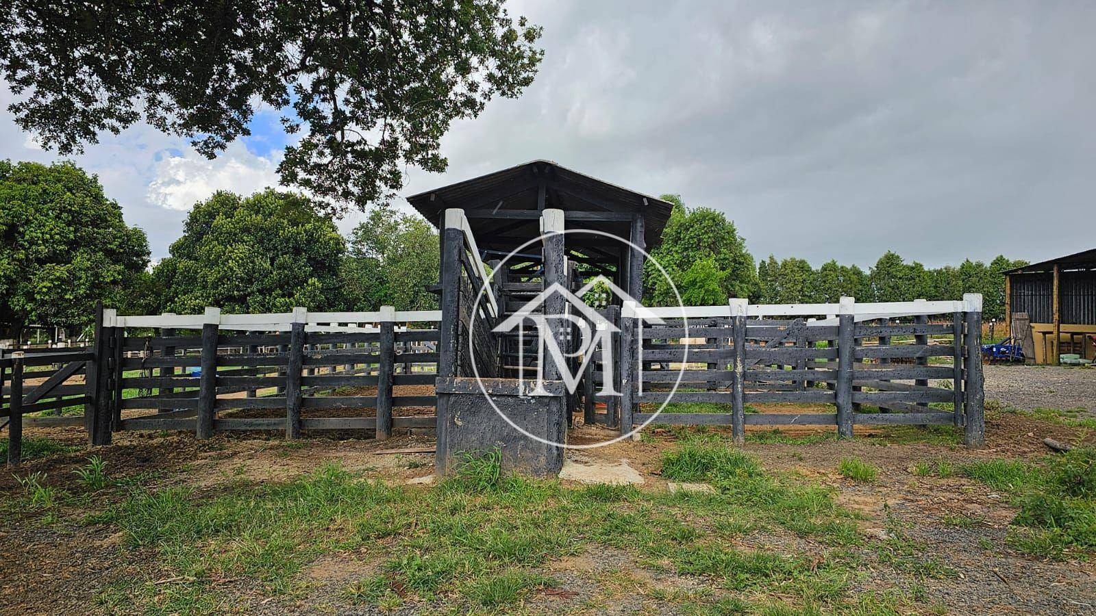 Haras e Área Rural Padrão à venda com 4 quartos, 99219M2 - Foto 21