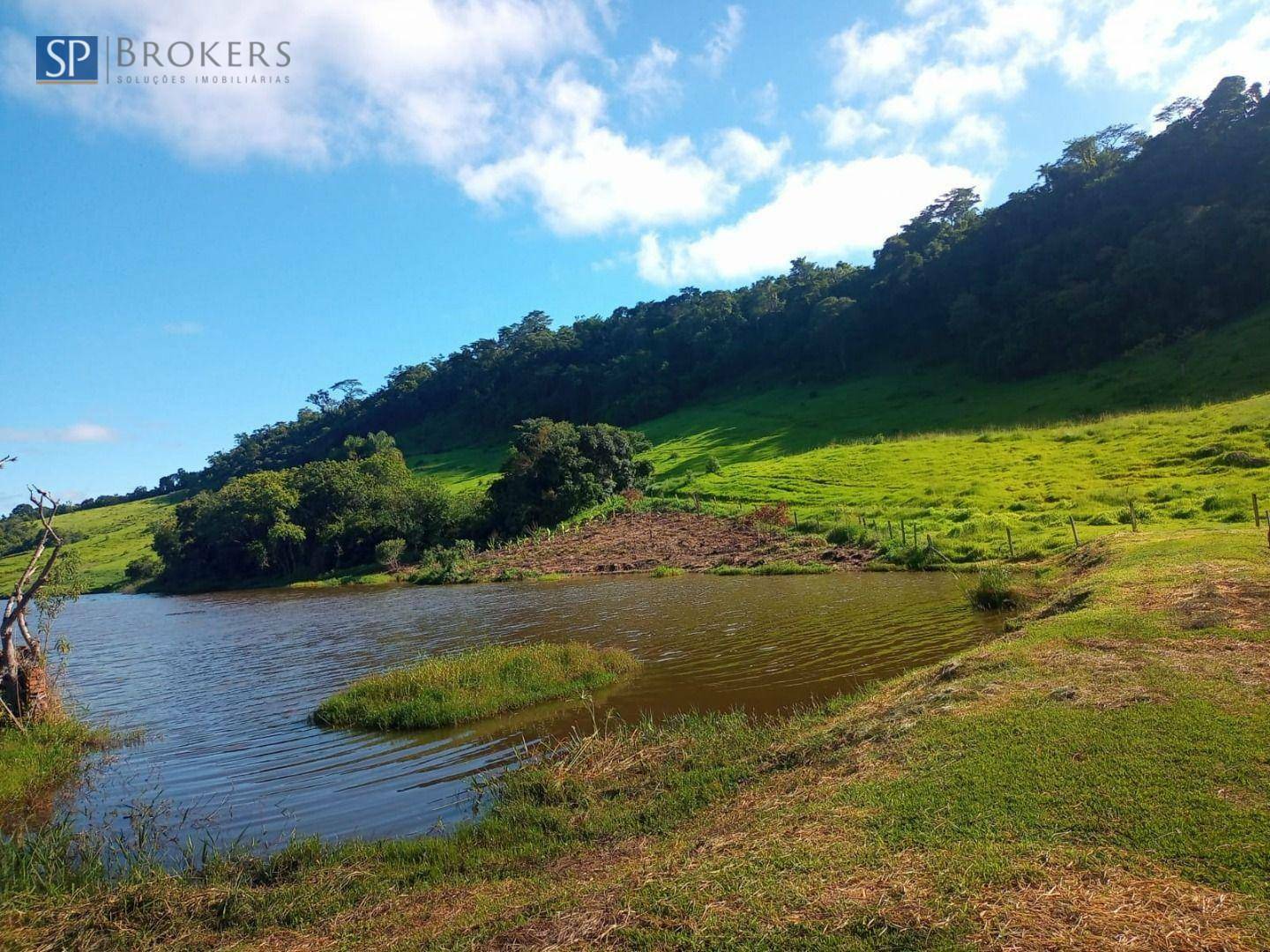 Fazenda à venda com 4 quartos, 400m² - Foto 16