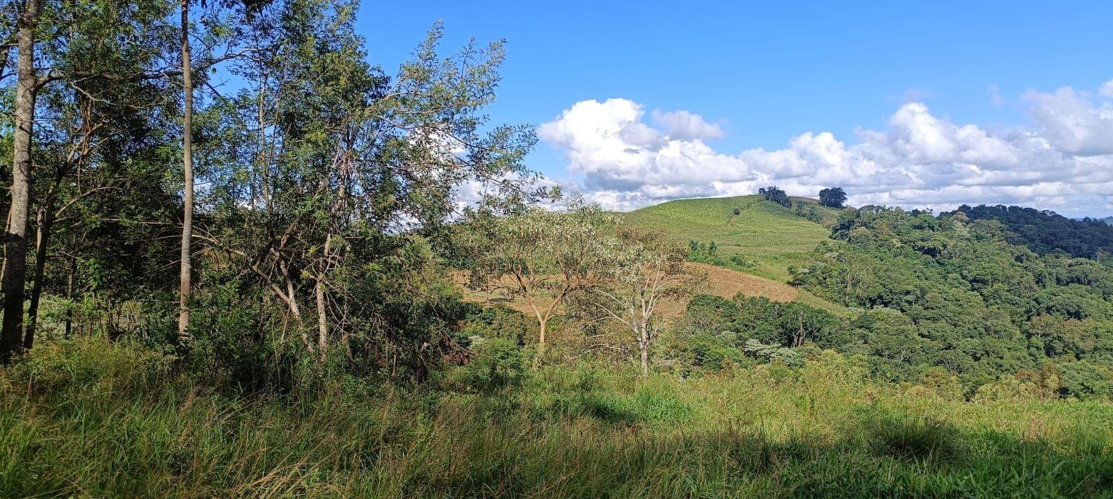 Casa à venda, 140000m² - Foto 46