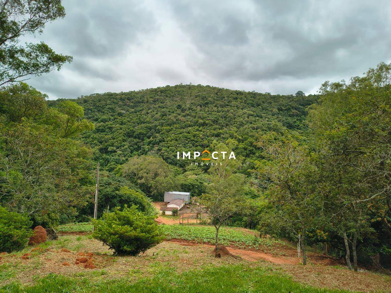 Fazenda, 150 hectares - Foto 5