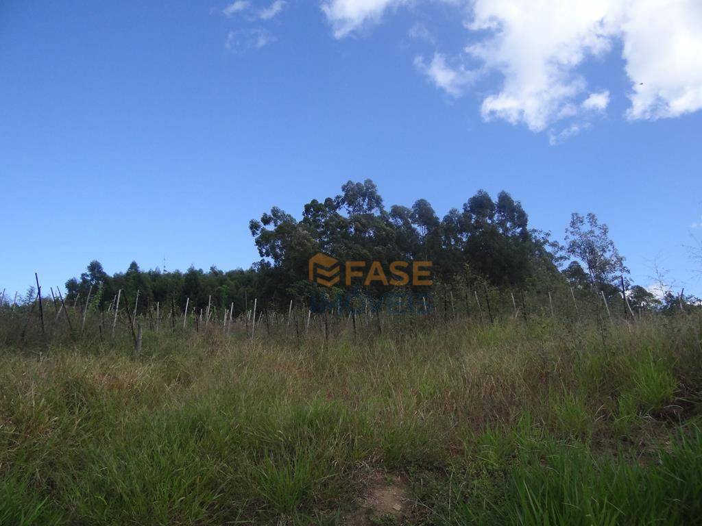 Terreno, 10 hectares - Foto 12