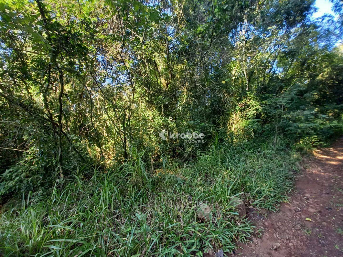 Chácara à venda com 1 quarto, 1m² - Foto 5