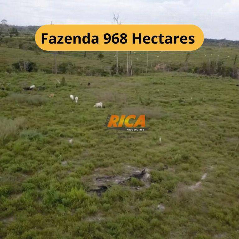 Fazenda-Sítio-Chácara, 968 hectares - Foto 1
