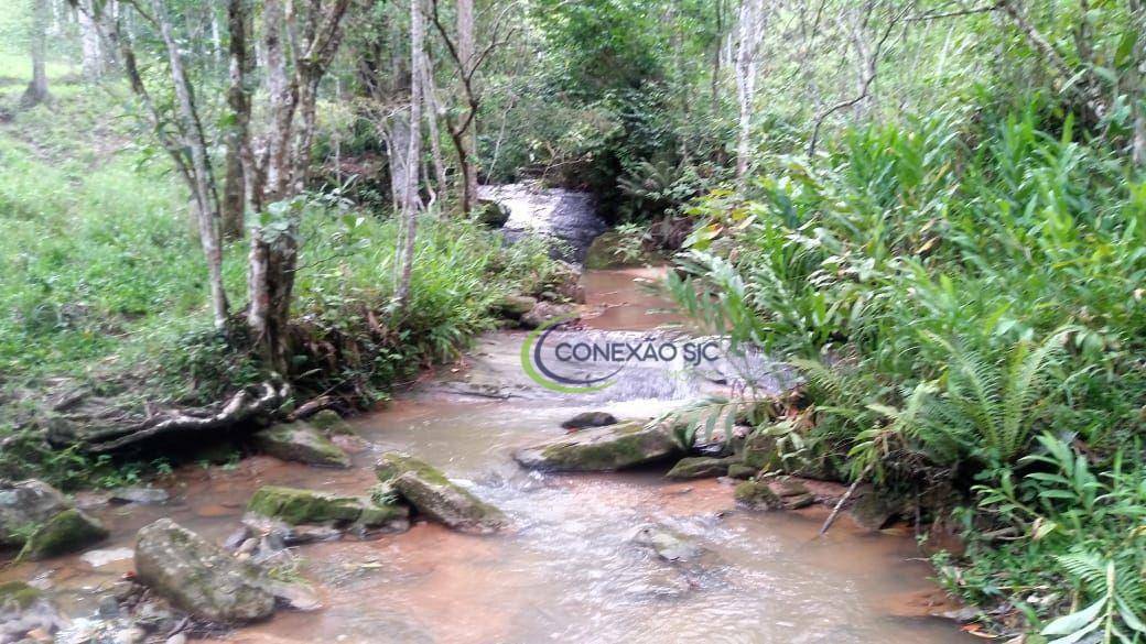 Fazenda à venda com 3 quartos, 2970000M2 - Foto 5