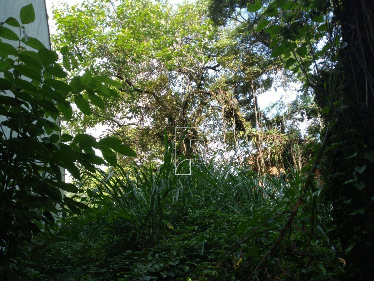 Loteamento e Condomínio à venda, 686M2 - Foto 5