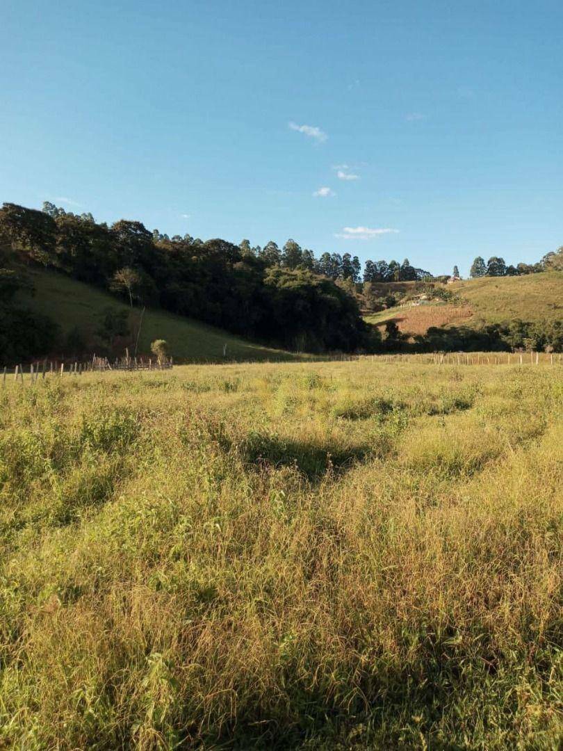 Terreno à venda, 24000M2 - Foto 1