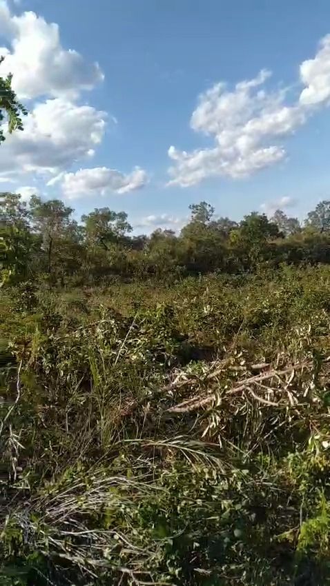 Fazenda à venda com 1 quarto, 17800000M2 - Foto 21