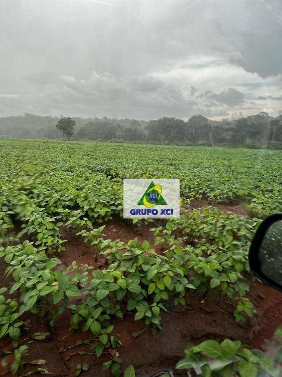 Fazenda à venda, 3388000M2 - Foto 21