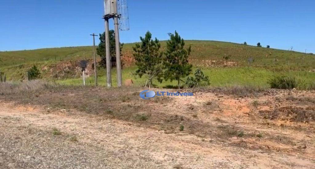 Terreno, 6 hectares - Foto 3