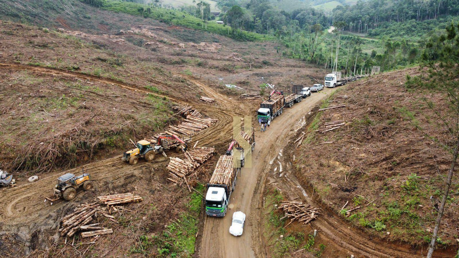 Terreno à venda, 151250M2 - Foto 2