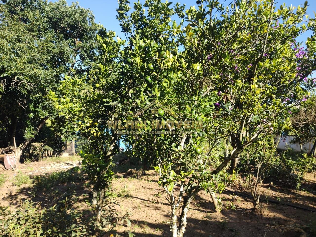 Chácara à venda, 5000m² - Foto 17