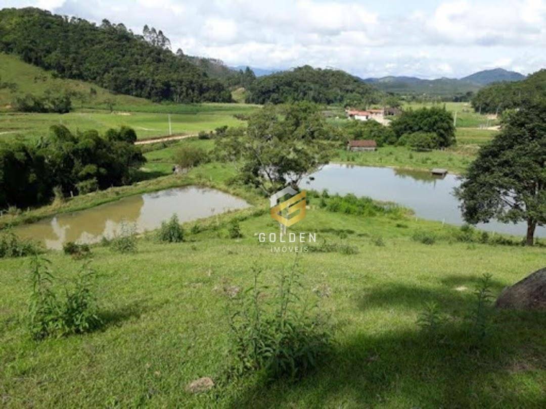 Sítio à venda com 5 quartos, 300m² - Foto 13