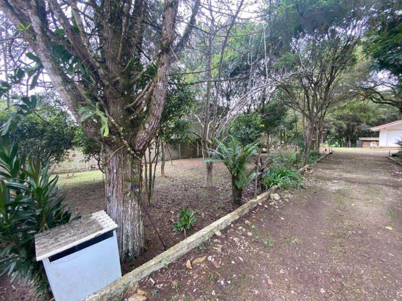 Chácara à venda e aluguel com 2 quartos, 8518M2 - Foto 6