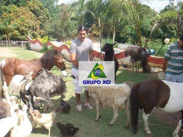 Sítio, 16 quartos, 8 hectares - Foto 3