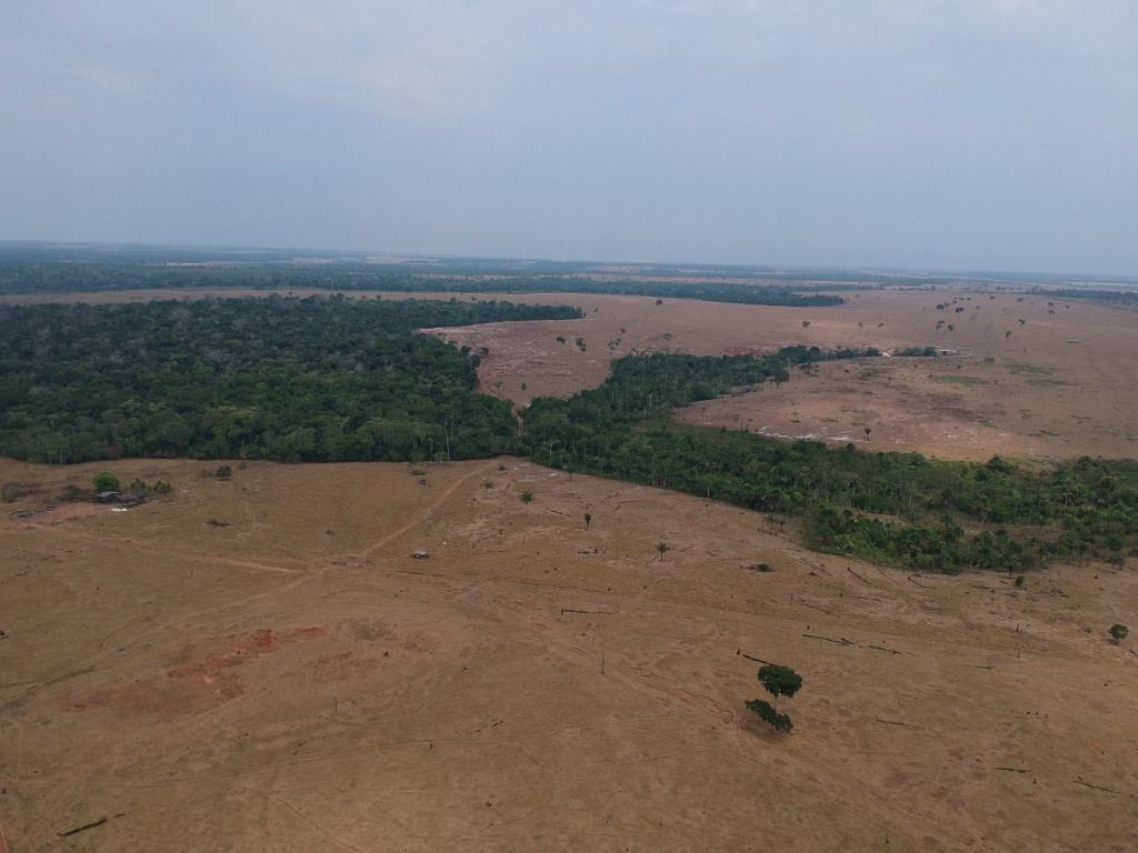 Fazenda à venda, 41140000M2 - Foto 20