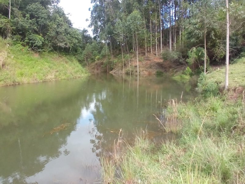 Sítio, 130 m² - Foto 8