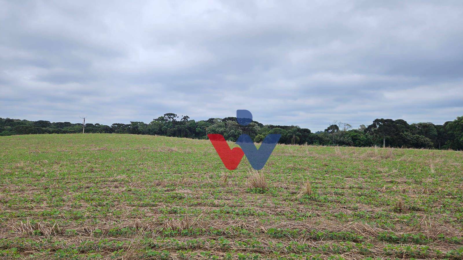 Fazenda à venda com 3 quartos, 1694000M2 - Foto 35