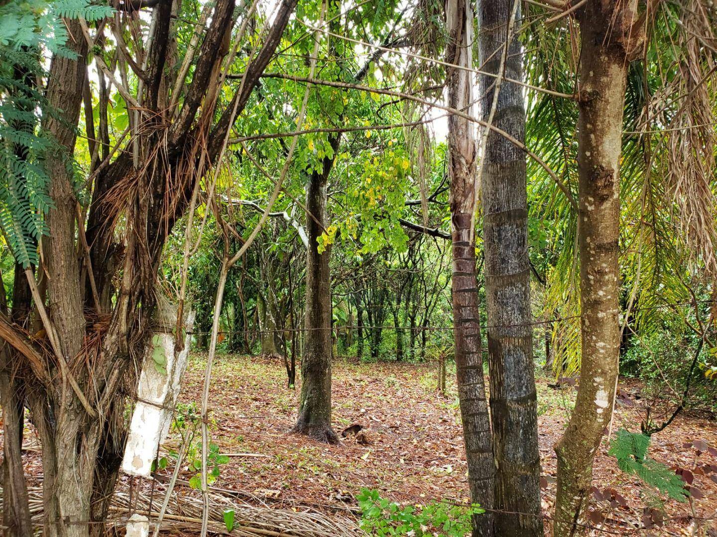 Terreno à venda, 1720M2 - Foto 2