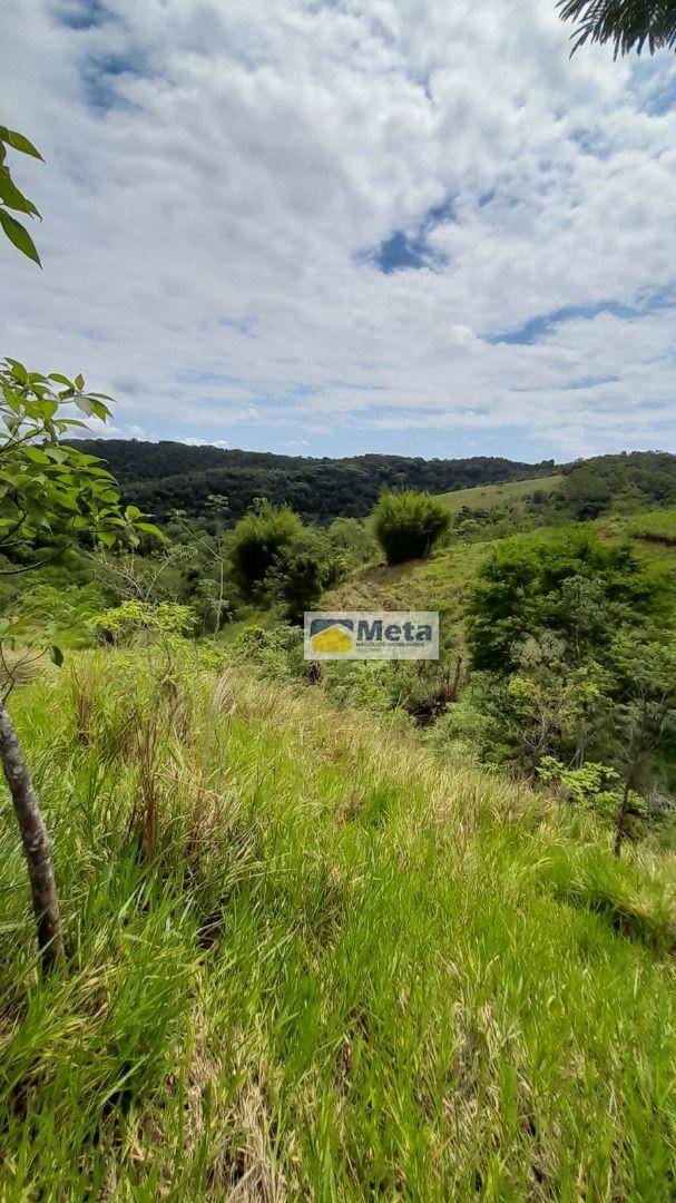 Sítio, 8 hectares - Foto 3