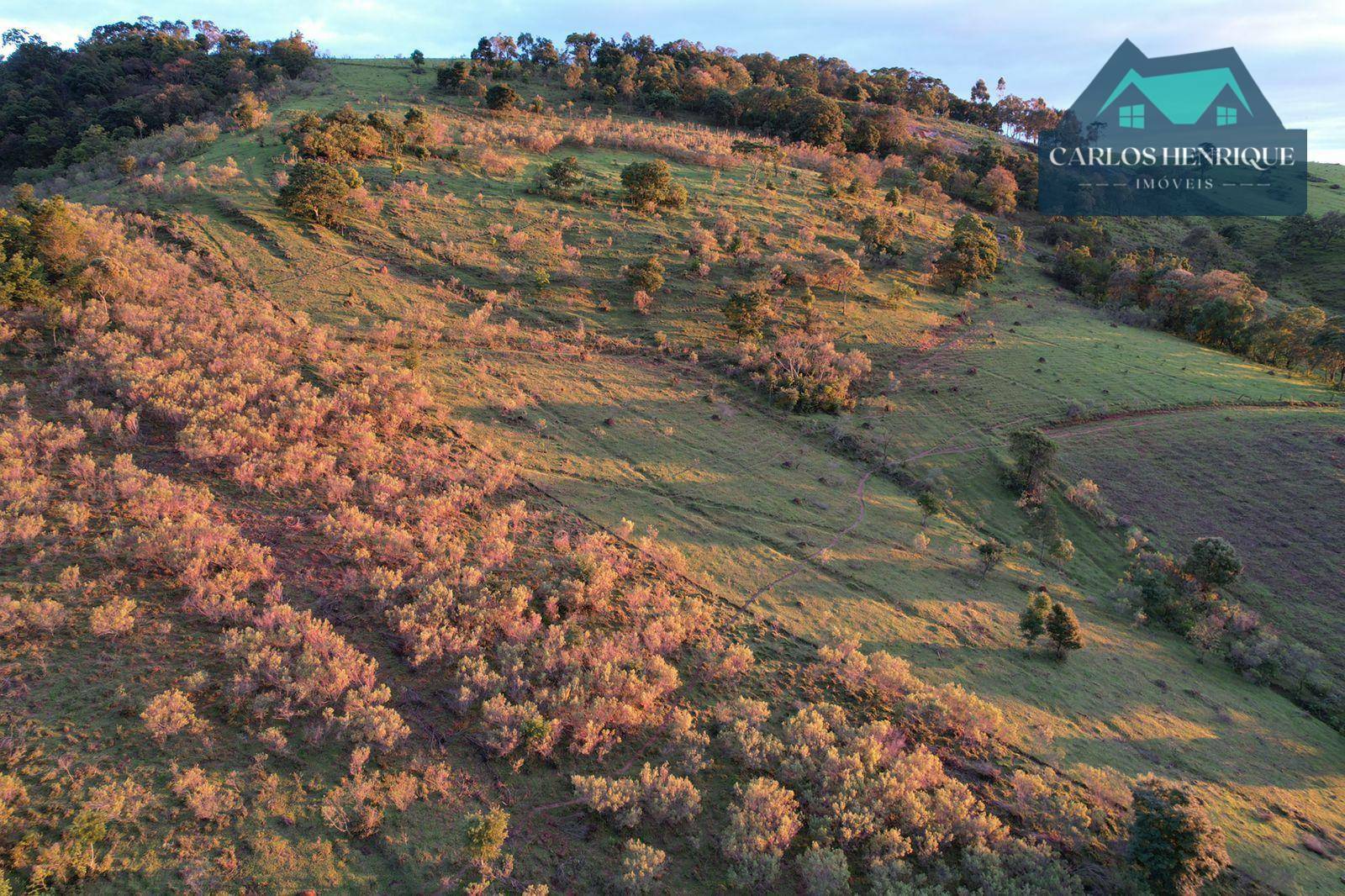 Terreno à venda, 20000M2 - Foto 30