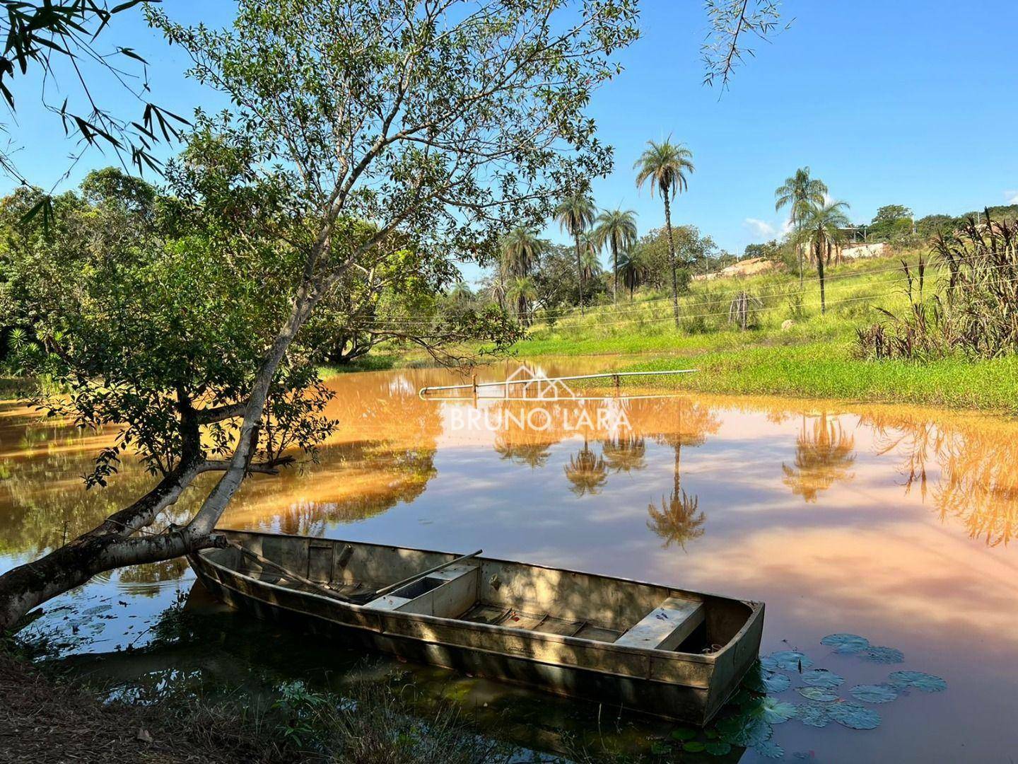 Fazenda à venda com 6 quartos, 1200m² - Foto 20