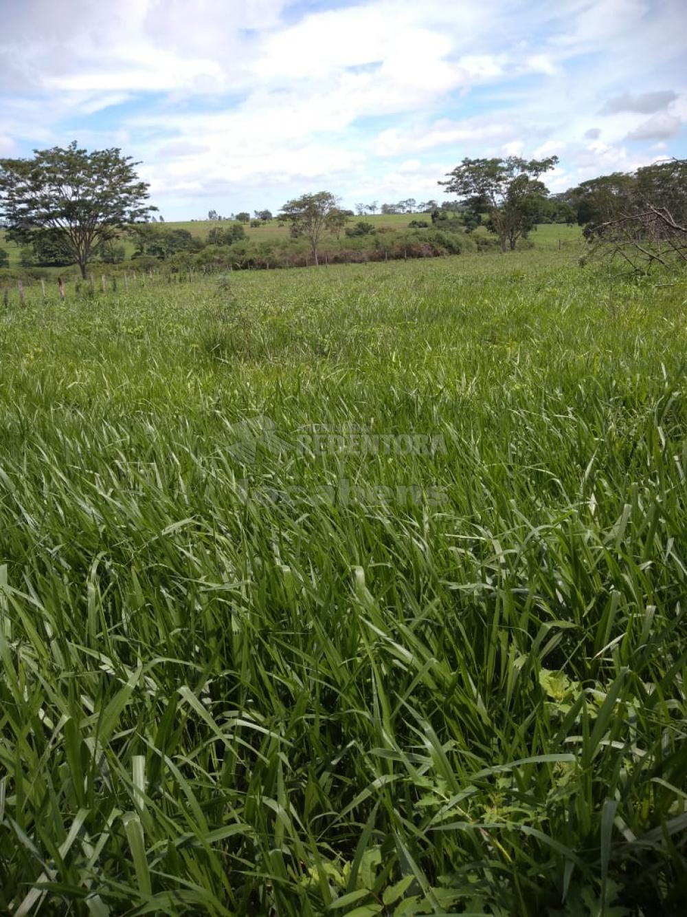 Fazenda-Sítio-Chácara, 515 hectares - Foto 3